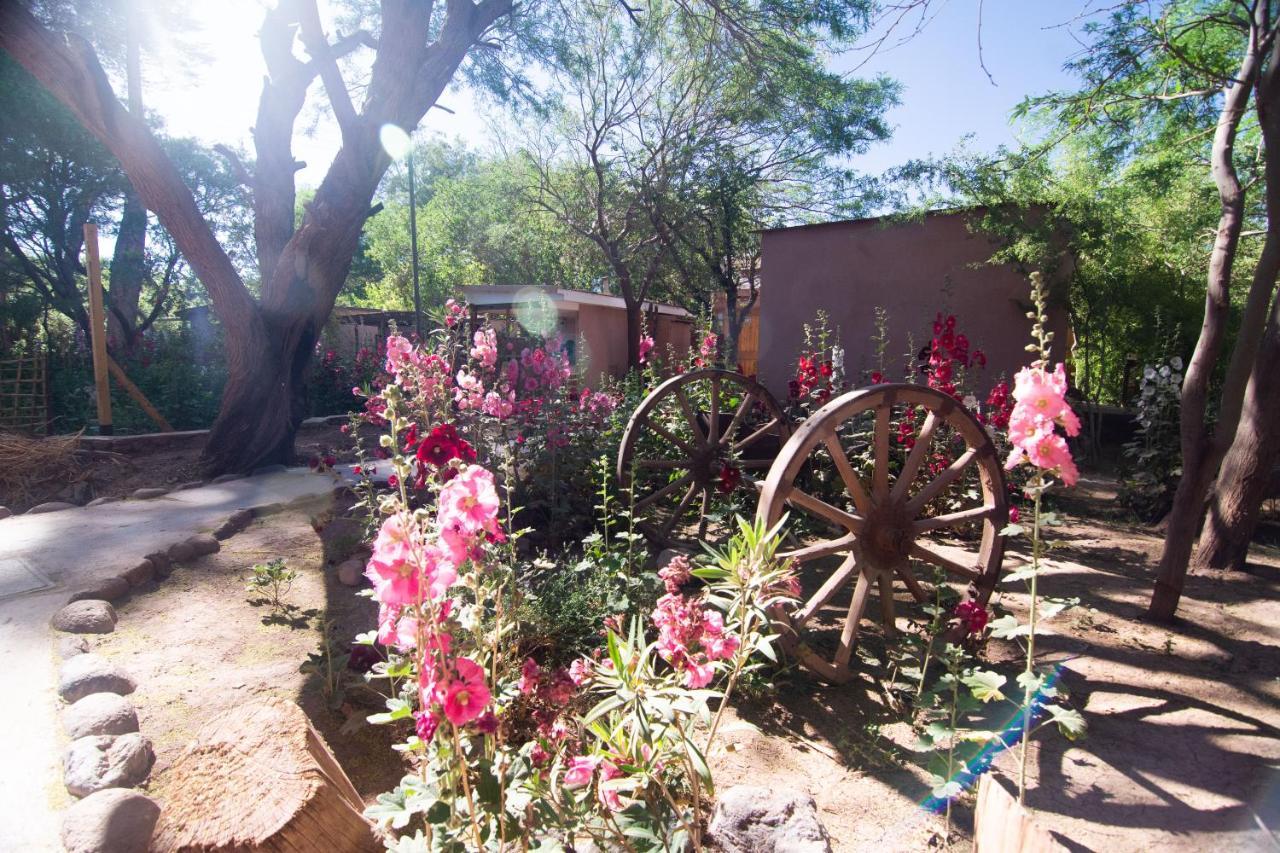 Hotel-Camping Takha Takha San Pedro De Atacama Extérieur photo