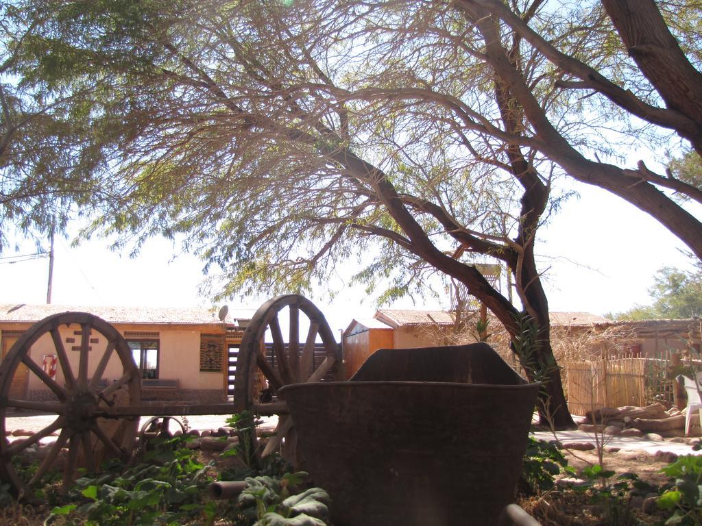 Hotel-Camping Takha Takha San Pedro De Atacama Extérieur photo